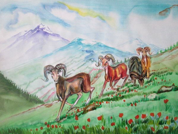 Кавказский заповедник рисунок
