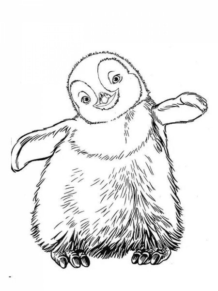 Раскраски животные пингвин (68 фото)