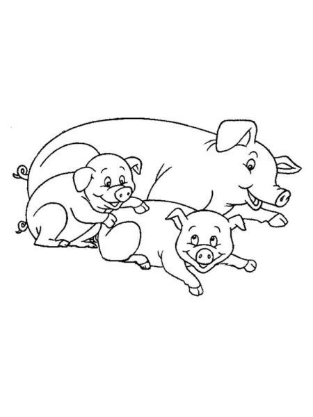 Раскраски животные свинья (66 фото)