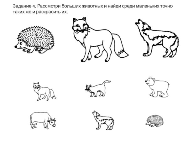 Животные и Детеныши задания для дошкольников