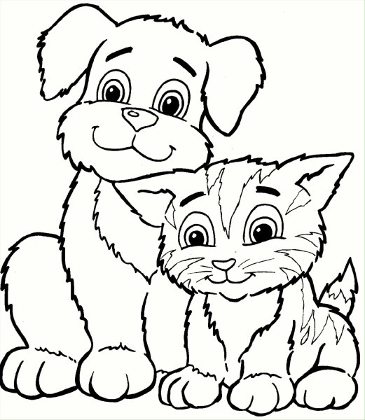 Раскраска котик с одеждой