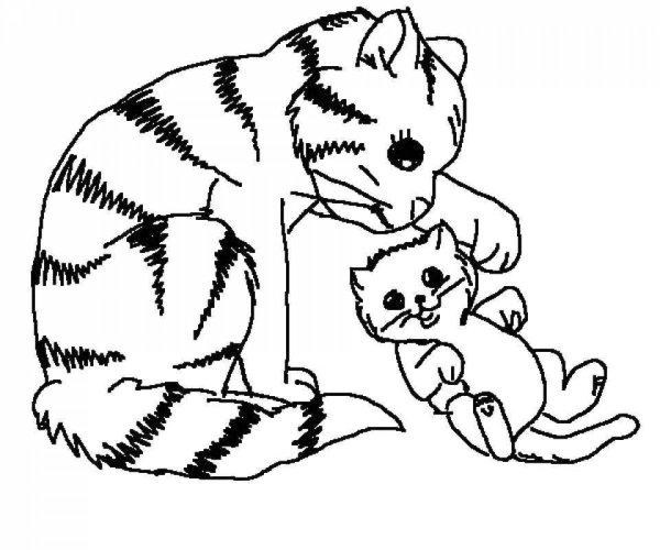 Кошки. Раскраска