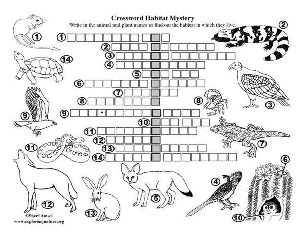 Кроссворд animals