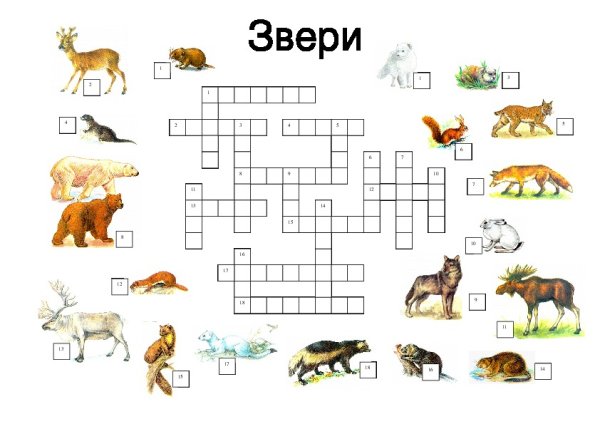 Кроссворд про животных