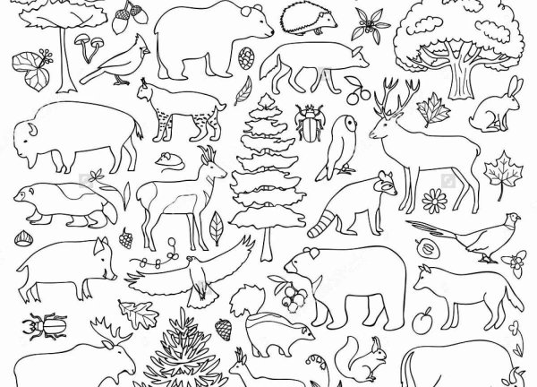 Раскраска животные много на одном листе - 64 фото