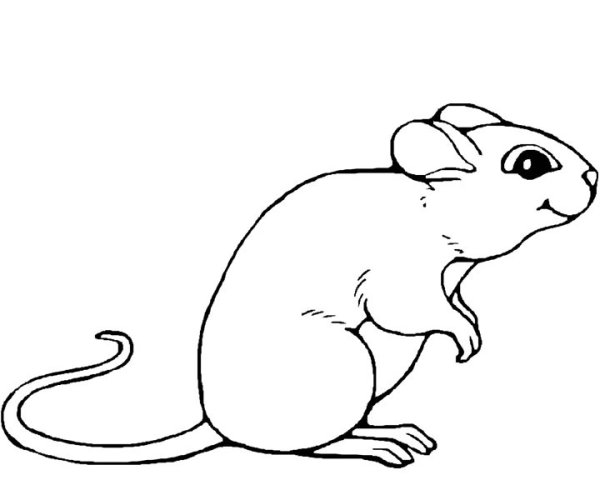 Маленькая мышка раскраска