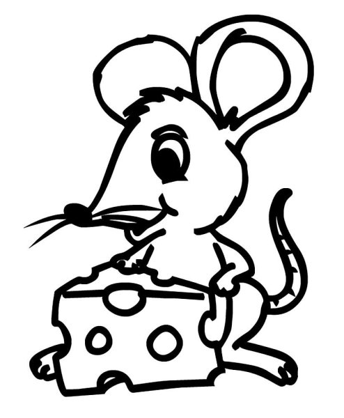 Раскраски животные мышки (67 фото)
