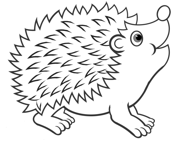 Даурский еж раскраска