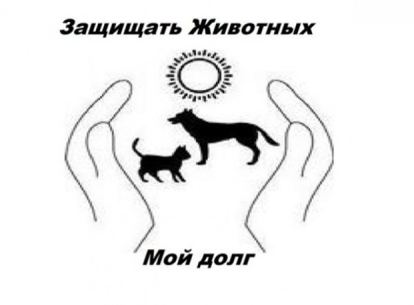 Защита животных рисунок