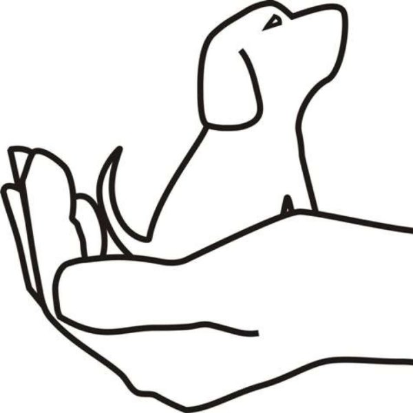Рисунок ко Дню защиты животных
