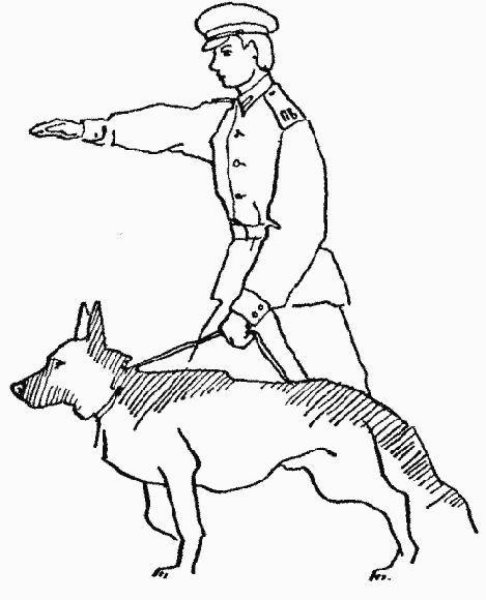 Раскраска пограничник