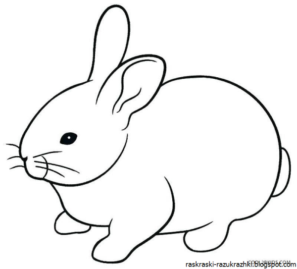 Зайчик раскраска для детей 4-5 лет