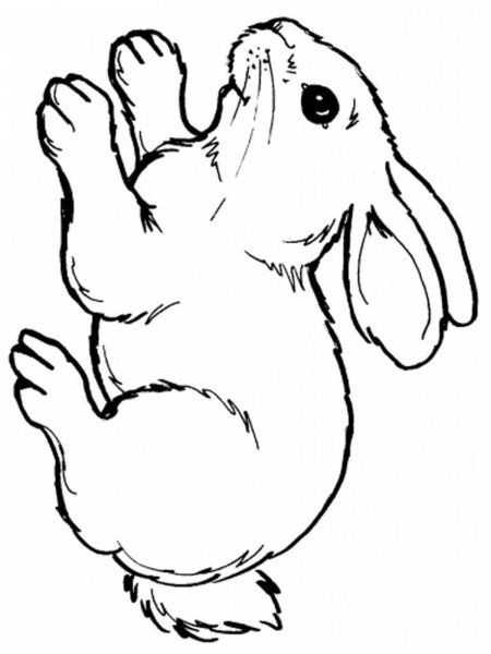 Маленькие рисунки