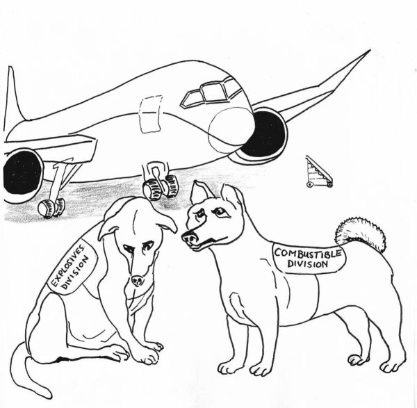 Раскраска Военная собака
