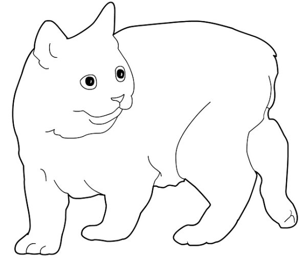 Кот без хвоста рисунок