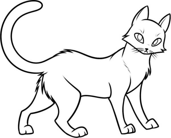 Рисование кошки