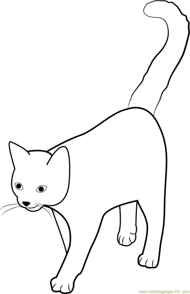 Хвост кота раскраска