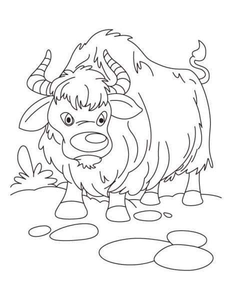 Yak раскраска