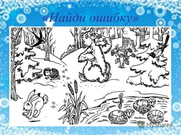 Зимующие животные задания