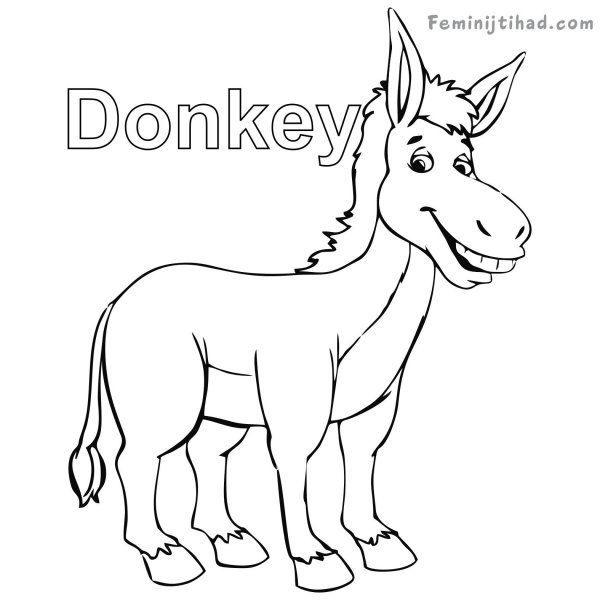 Donkey раскраска