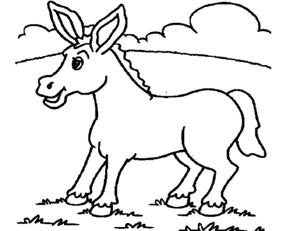 Раскраска ослик для детей 3-4 лет
