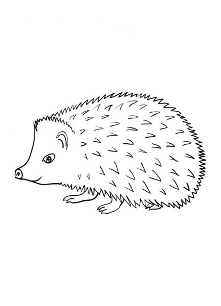 Ежик рисунок