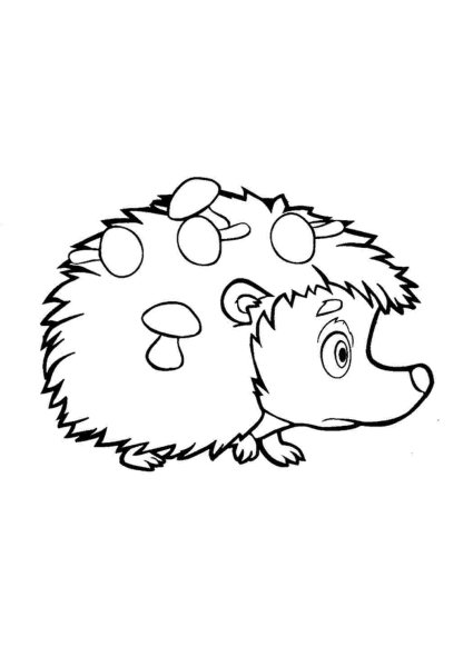 Еж раскраска