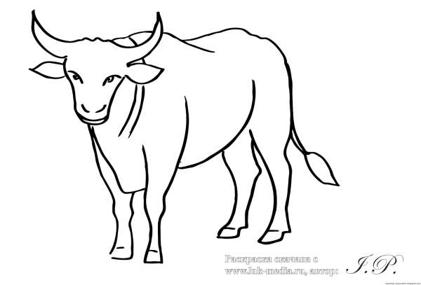 Бык рисунок для детей