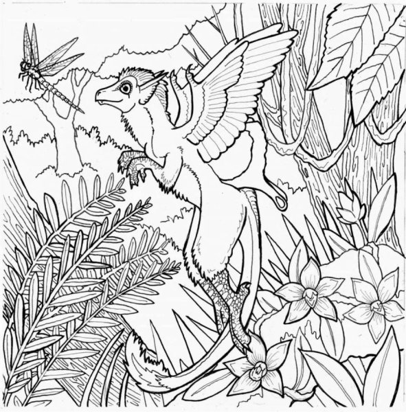 Väheste mustritega Coloring pictures