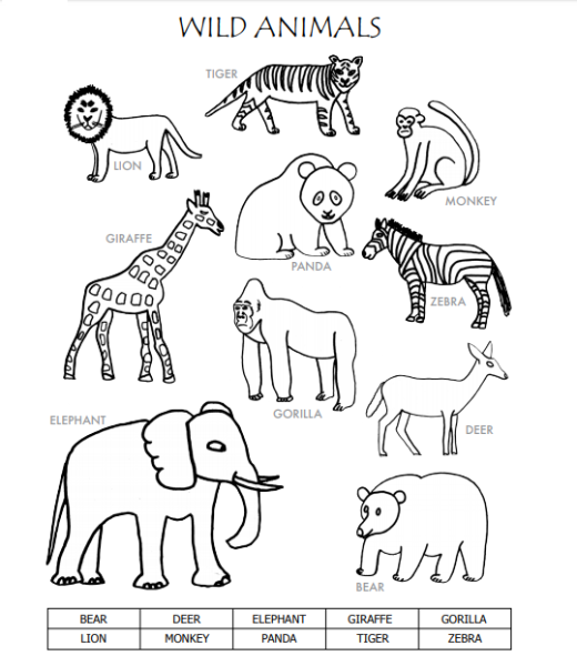 Animals раскраска English