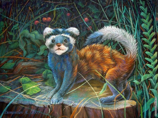 Перевязка рисунок животного