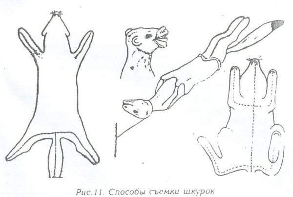 Снятие шкурки с животного
