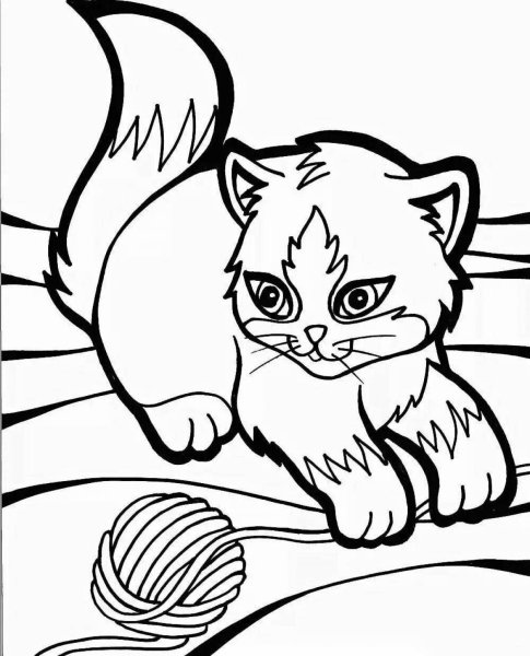 Раскраска котик с цветами