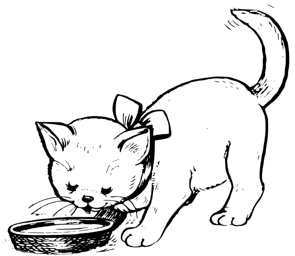 Котенок. Раскраска
