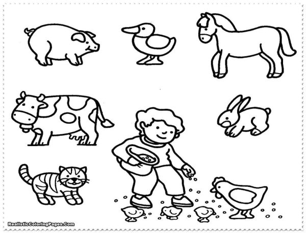 Раскраска домашние животные для детей 4-5 лет