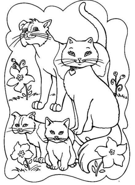 Раскраска. Котики