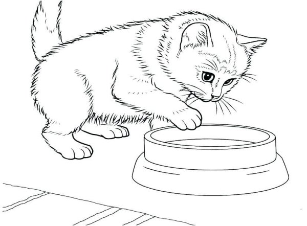 Картинки для раскрашивания котята