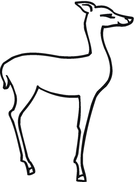 Косуля раскраска