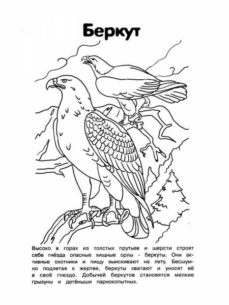 Красная книга раскраска