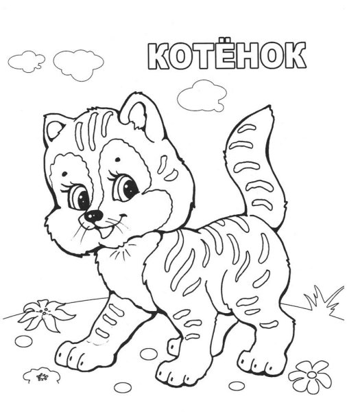 Раскраски животные для детей 4-5 лет