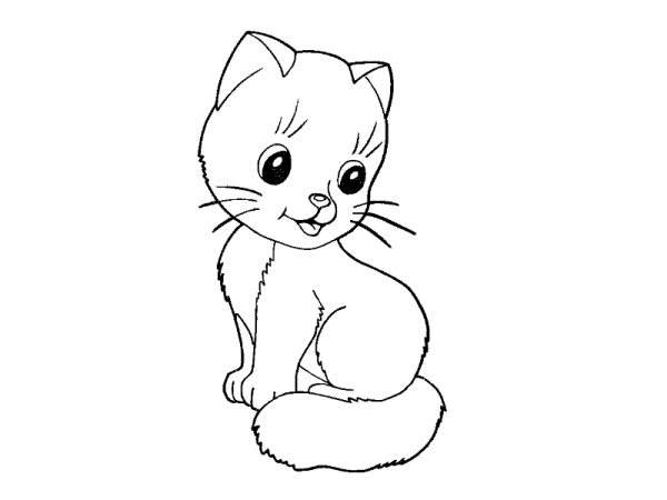 Раскраска. Котики