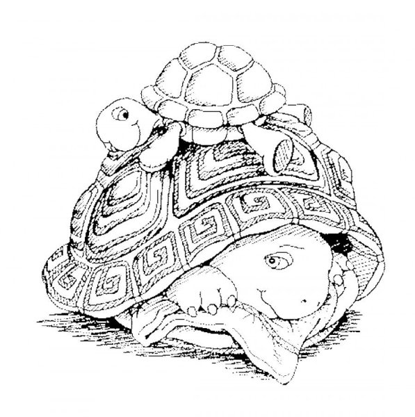 Разукрашка черепаха