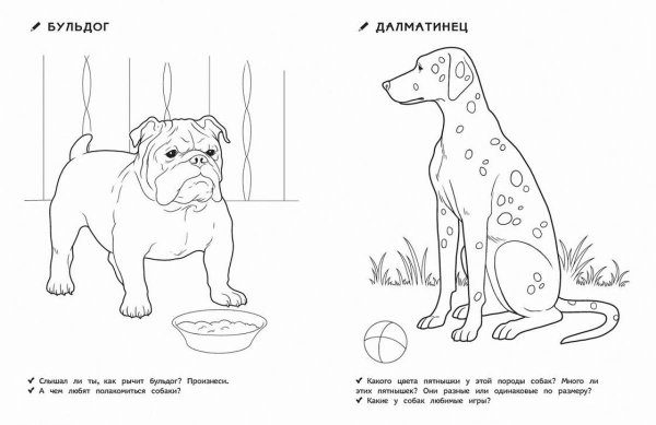 Раскраски домашних питомцев
