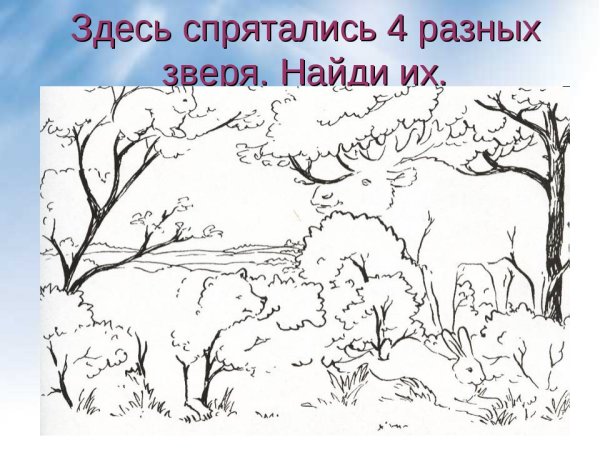Найди животных на картинке для детей