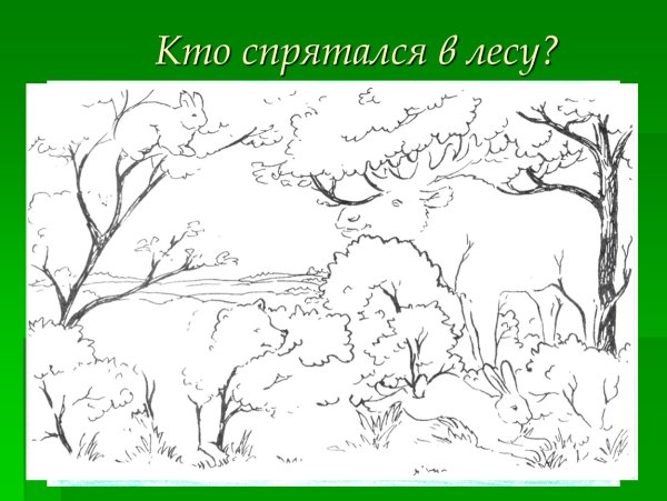 Животные спрятались в лесу