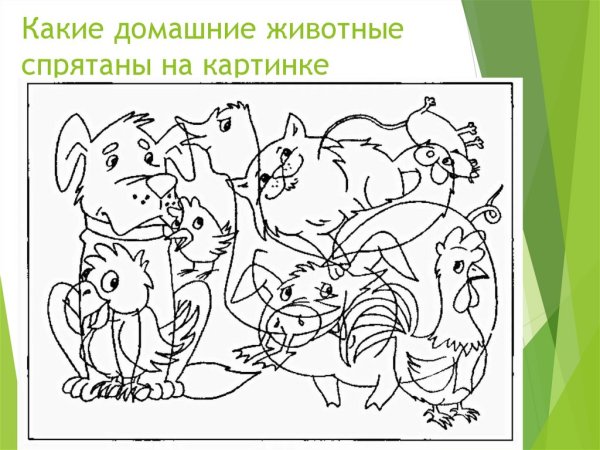 Спрятанные животные