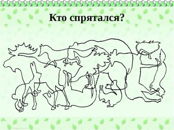 Какие животные спрятались на картинке