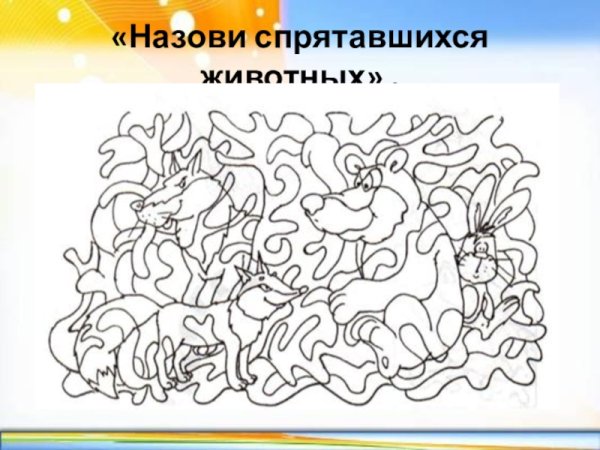 Дикие животные спрятались