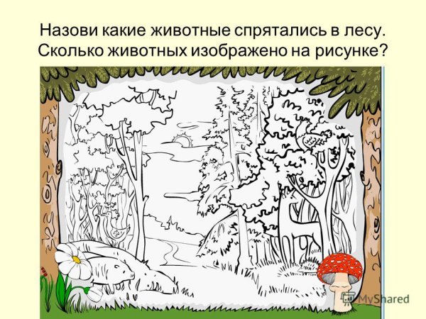 Какие животные спрятались в лесу