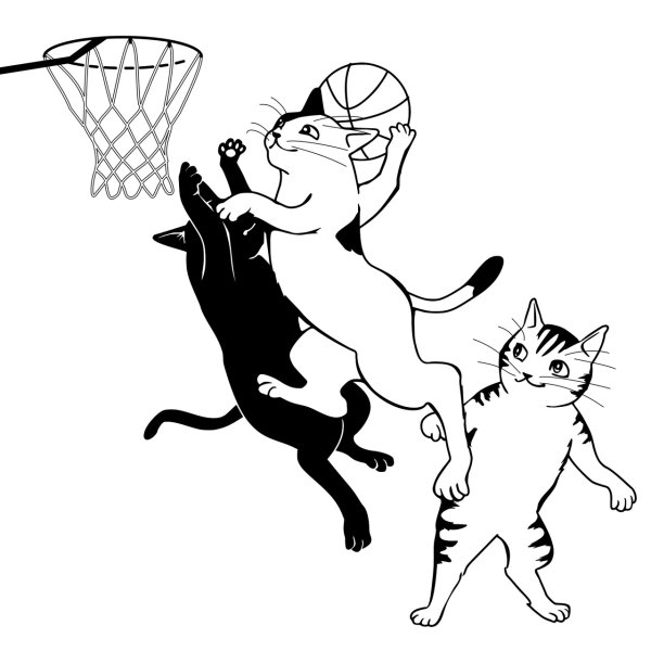 Раскраска кошка с мячиком